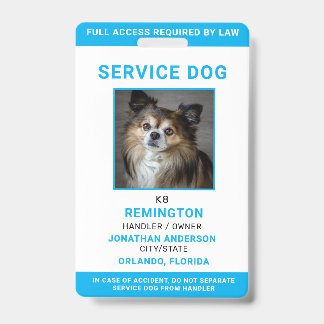 Modernes Red Blue Simple Service Dog Foto ID Abzei Ausweis