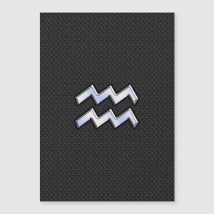 Modernes Silver Aquarius Zodiac-Zeichen auf Schlan Magnetkarte