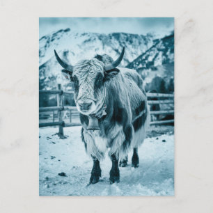 Modernes, trendy Yak Tier Feiertagspostkarte