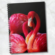 Modernes tropisches Rosa Flamingo
