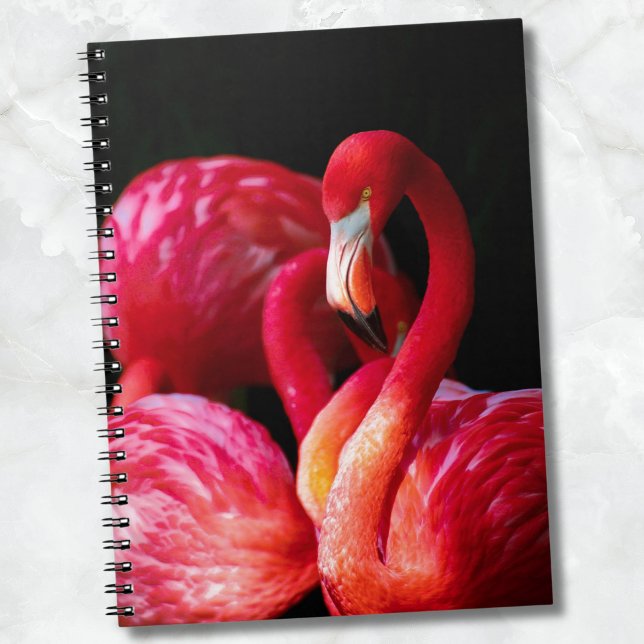 Modernes tropisches Rosa Flamingo Notizblock (Modern Tropical Pink Flamingo notebook)