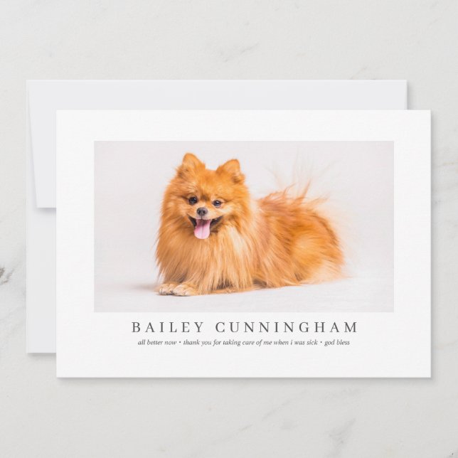 Modernes und einfaches Foto dank Vet Nurses Dankeskarte (Vorderseite)