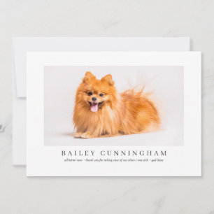 Modernes und einfaches Foto dank Vet Nurses Dankeskarte