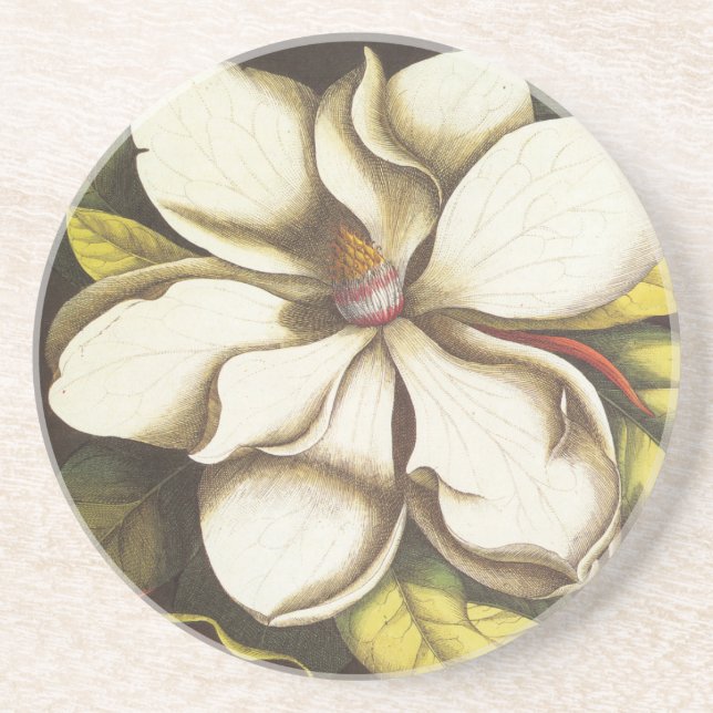 modernes Vintages Magnolie Getränkeuntersetzer (Vorne)