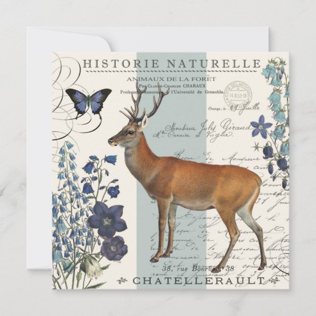 modernes Vintages Waldwild (Vorderseite)