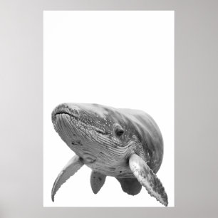 Modernes Whaleportrait Schwarz-weiß Poster