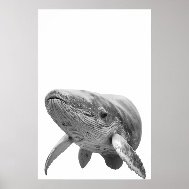 Modernes Whaleportrait Schwarz-weiß Poster (Vorne)