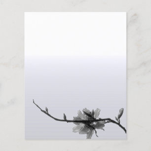 Modernes Zen-Frühjahr/Schwarz-Weiß-Blumengeschäft