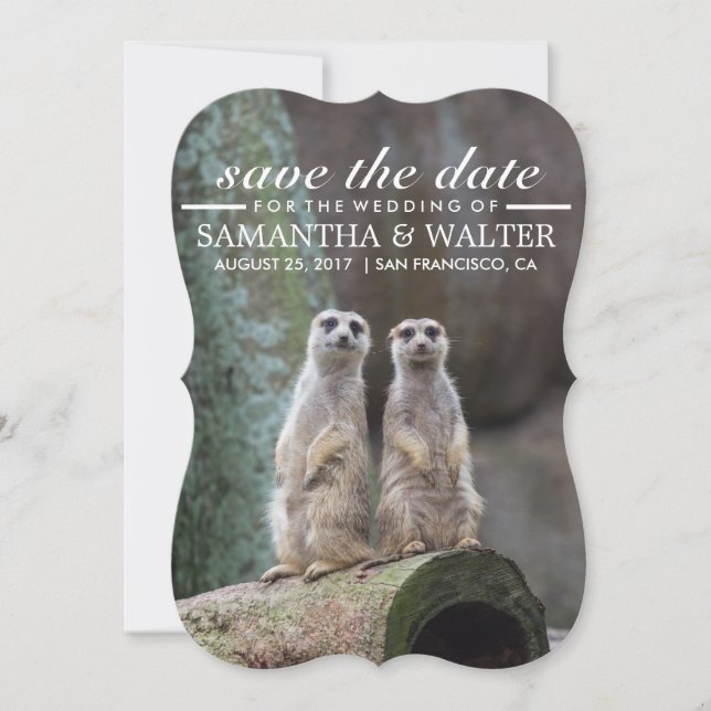 Modifizieren Sie diese lustigen Meerkatzen Save th Save The Date (Vorderseite)