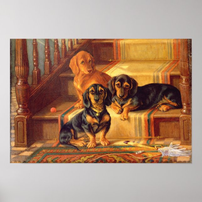 Modische Raffinitäten Poster (Vorne)