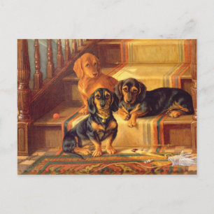 Modische Raffinitäten Postkarte