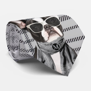 Modischer Boston Terrier Hund und Karo-Monogramm Krawatte