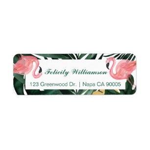 Modischer Rosa-u. Aqua-tropischer Flamingo u.