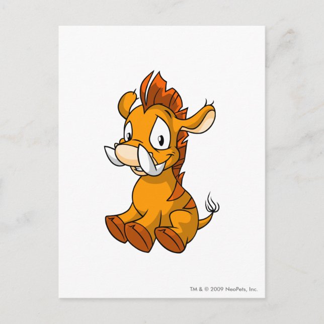 Moehog Orange Postkarte (Vorderseite)