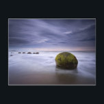 Moeraki Boulders Sunrise Seascape Postkarte<br><div class="desc">Moeraki Boulders Sonnenaufgang</div>