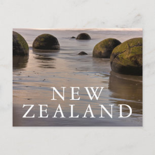 Moeraki-Brocken am Strand Postkarte