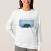 Moeraki Flusssteine