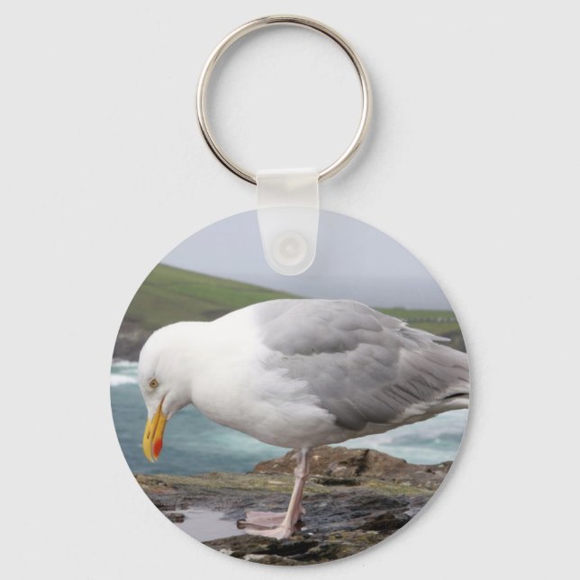Moewe Schlüsselanhänger (Vorderseite)