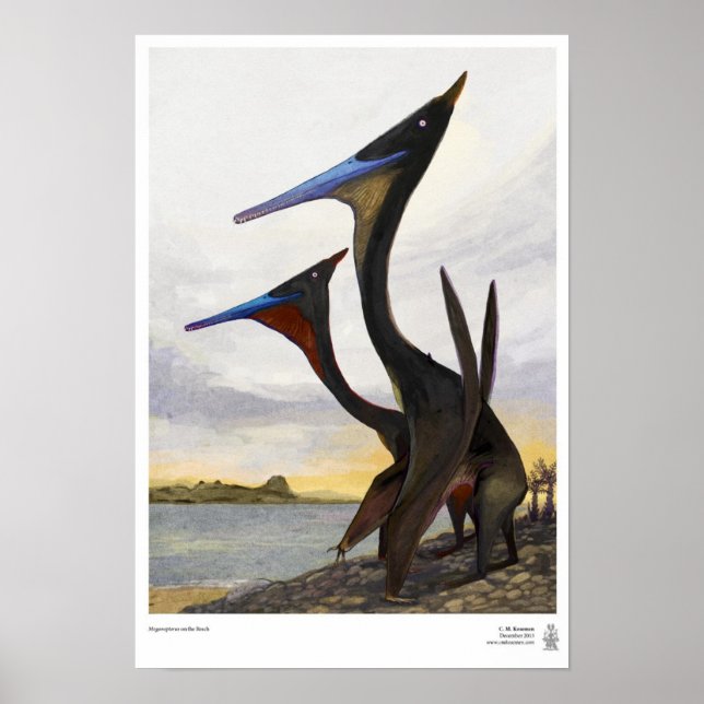 Moganopterus am Strand Poster (Vorne)