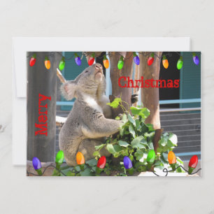 Möge deine Lichter hell leuchten. Koala Christmas Feiertagskarte