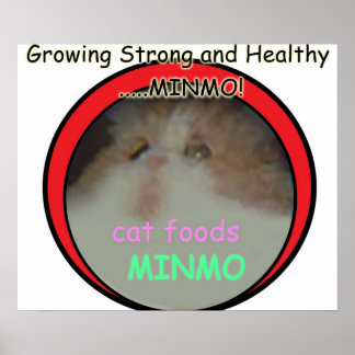 Möglicherweise der obskurseste Silent Hill 3-Verwe Poster