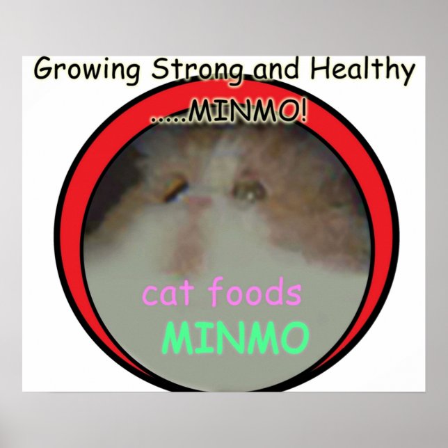 Möglicherweise der obskurseste Silent Hill 3-Verwe Poster (Vorne)