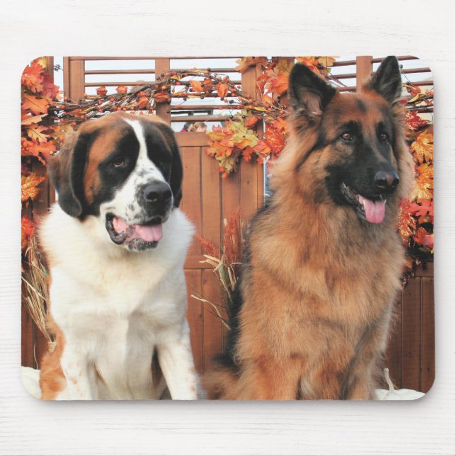 Möglichkeit LH-Schäfer Mae Bernhardiner Foto-3 Mousepad (Vorne)