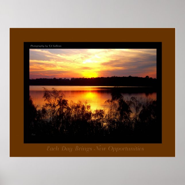 Möglichkeiten von TDGallery Poster (Vorne)