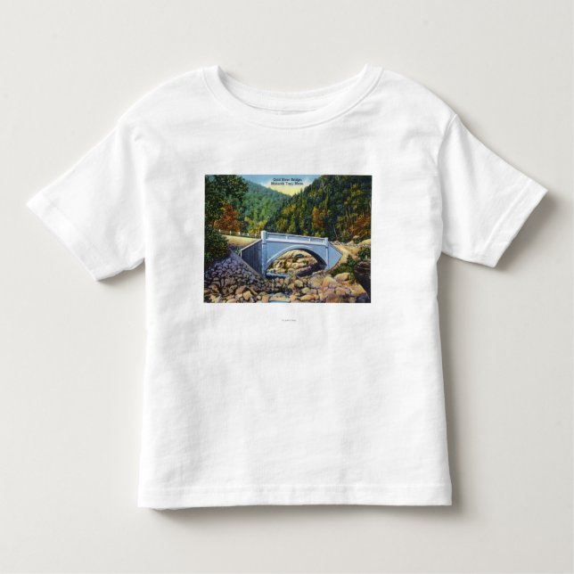 Mohikaner-Hinteransicht der kalten Fluss-Brücke Kleinkind T-shirt (Vorderseite)
