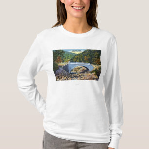 Mohikaner-Hinteransicht der kalten Fluss-Brücke T-Shirt
