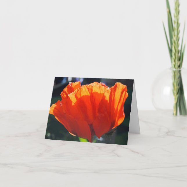 Mohn aus dem Himmel Feiertagskarte (Vorderseite)