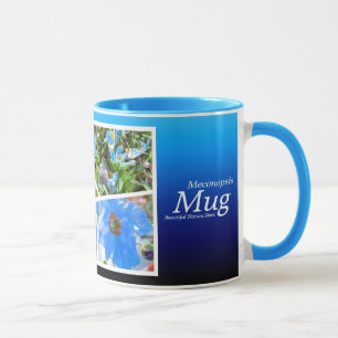 Mohn aus Himalaya [Combo-Tasse] グ  プ Tasse