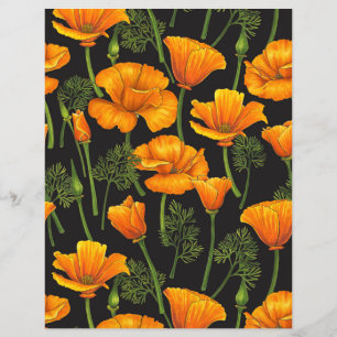 Mohn aus Kalifornien
