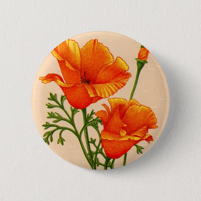 Mohn aus Kalifornien in Orange Button (Vorderseite)
