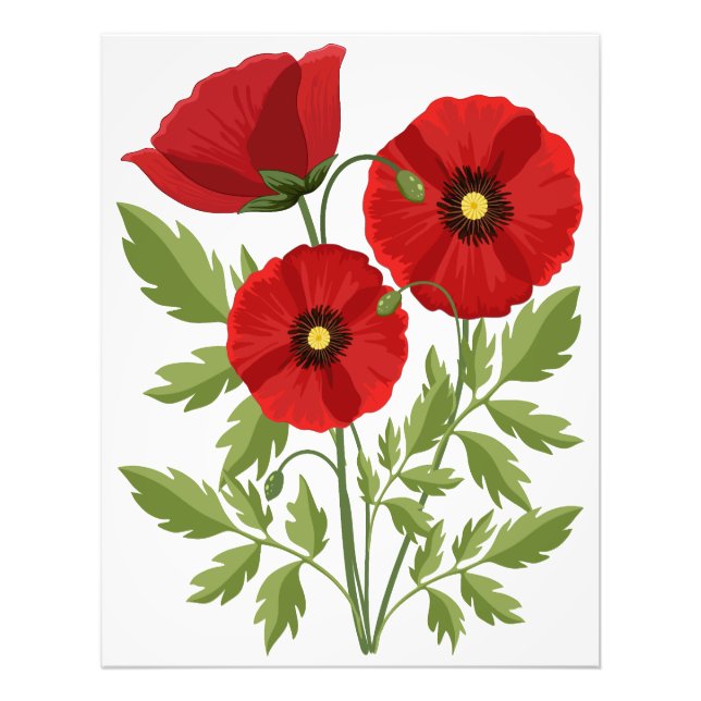 Mohn blüht fröhlich Sommer Blume Fotodruck (Vorne)