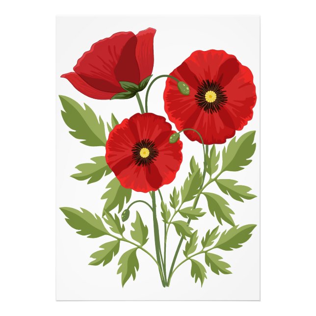 Mohn blüht fröhlich Sommer Blume Fotodruck (Vorne)