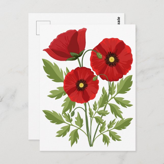 Mohn blüht fröhlich Sommer Blume Postkarte (Vorne/Hinten)