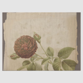 Mohn-Blume auf "Not Decoupage" Seidenpapier