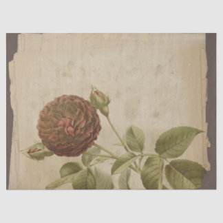 Mohn-Blume auf "Not Decoupage" Seidenpapier