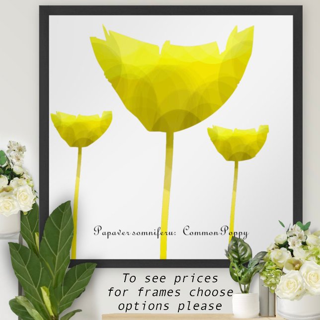 Mohn-Druck Poster (Von Creator hochgeladen)