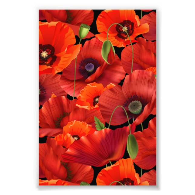 Mohn Fotodruck (Vorne)