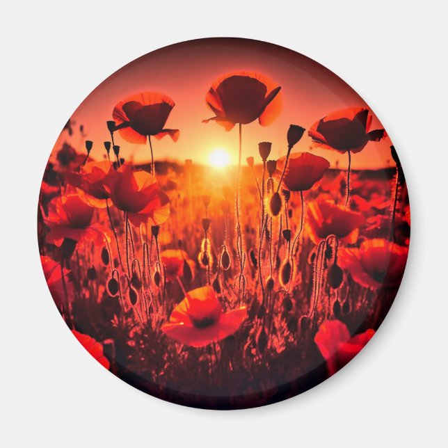 Mohn im Gegenlicht Magnet (Vorne)
