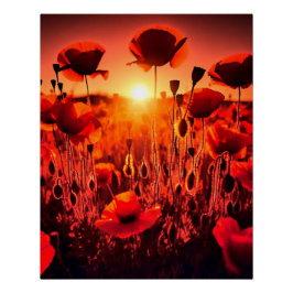 Mohn im Gegenlicht Poster