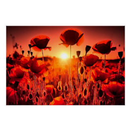 Mohn im Gegenlicht Poster