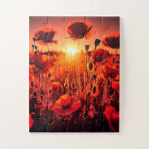 Mohn im Gegenlicht