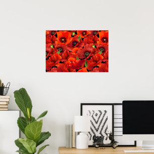 Mohn Poster
