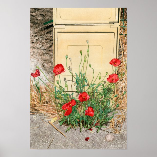 Mohn Poster (Vorne)