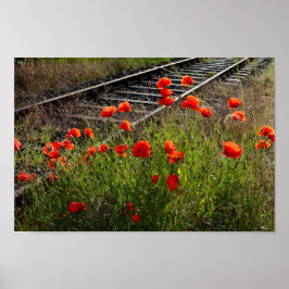 Mohn Poster