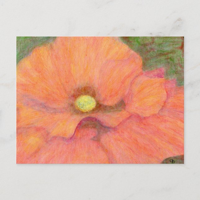 Mohn, Postkarte (Vorderseite)