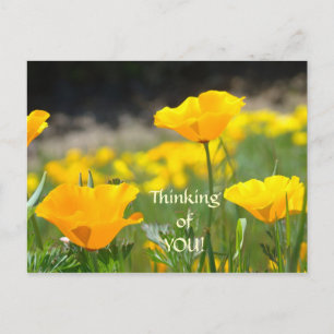 Mohn Postkarten MOHNBLUMEN In Gedanken an Dich!